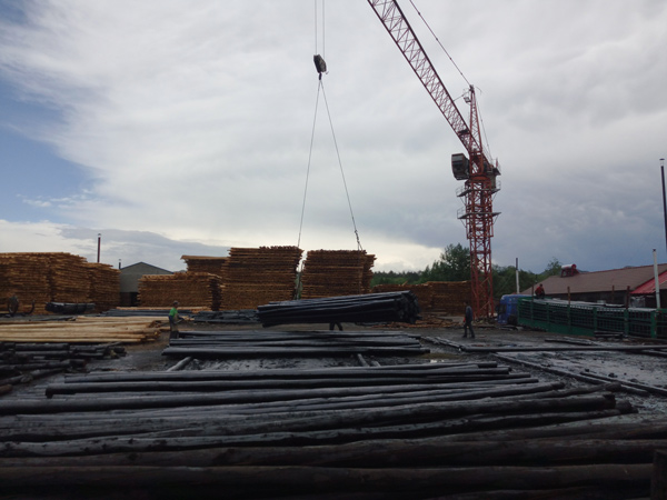 防腐油木桿、防腐油炸桿5