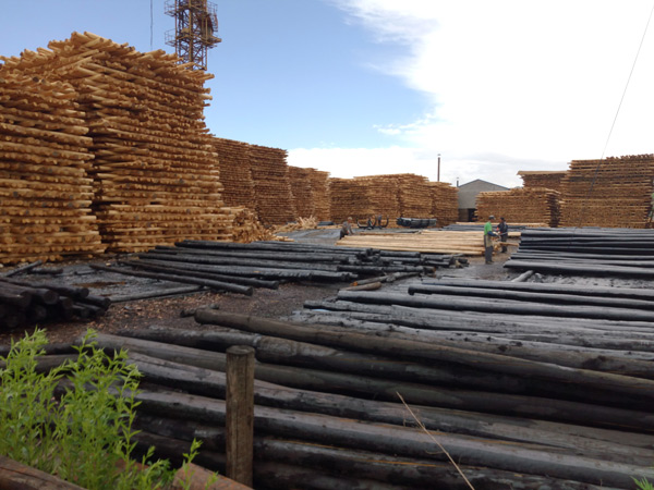 防腐油木桿、防腐油炸桿6